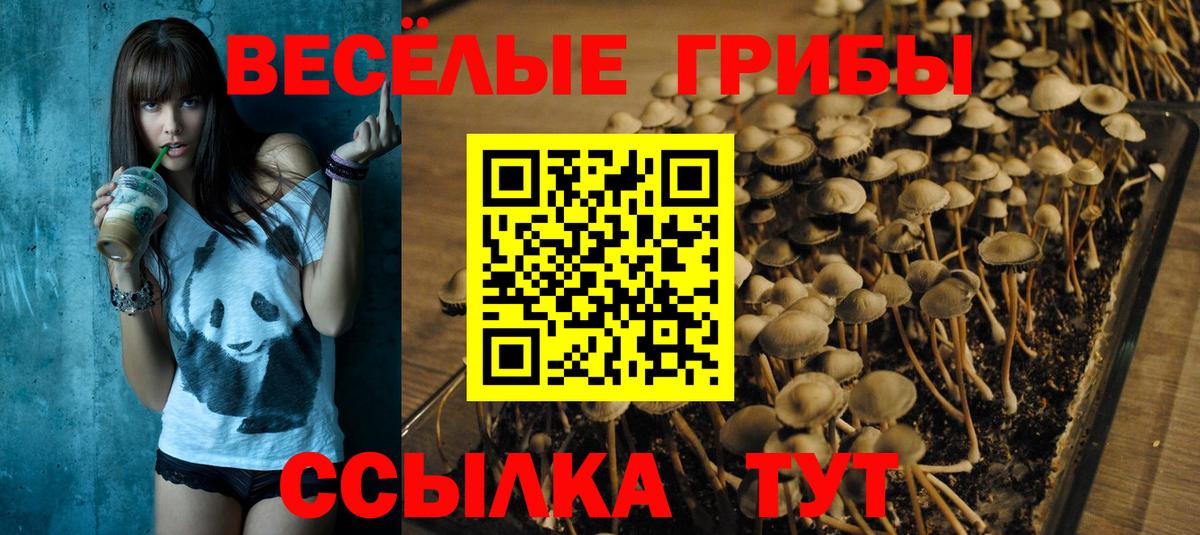 Галлюциногенные грибы мухоморы Норильск